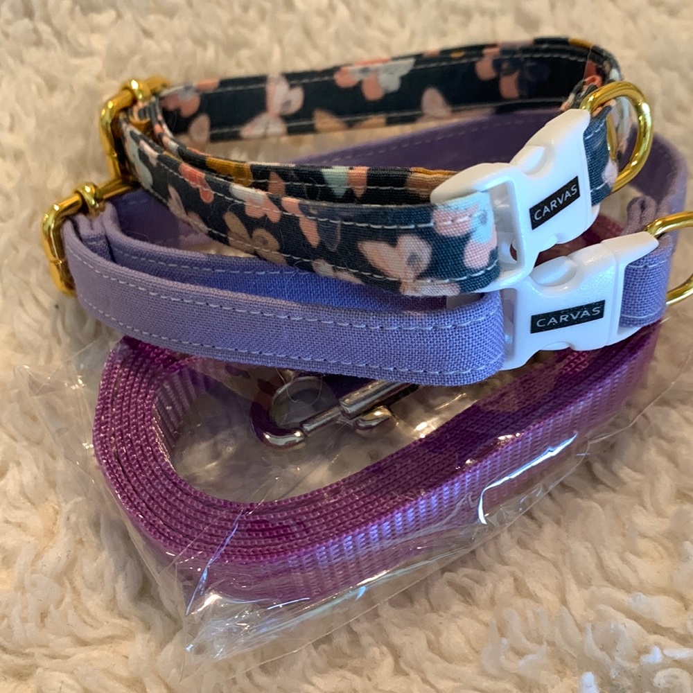 Dog cat collar and leash
